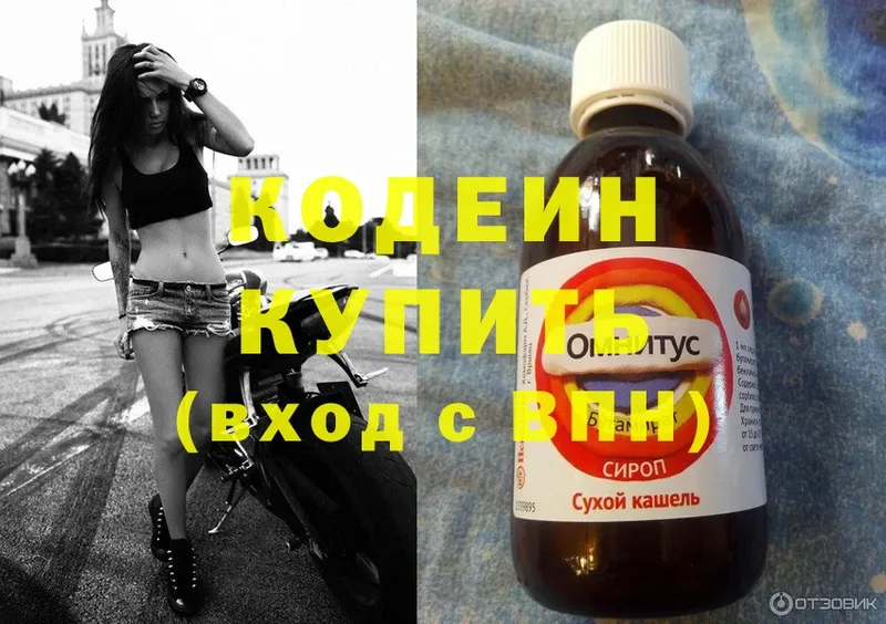 купить наркотики цена  площадка как зайти  Кодеиновый сироп Lean Purple Drank  Апатиты 